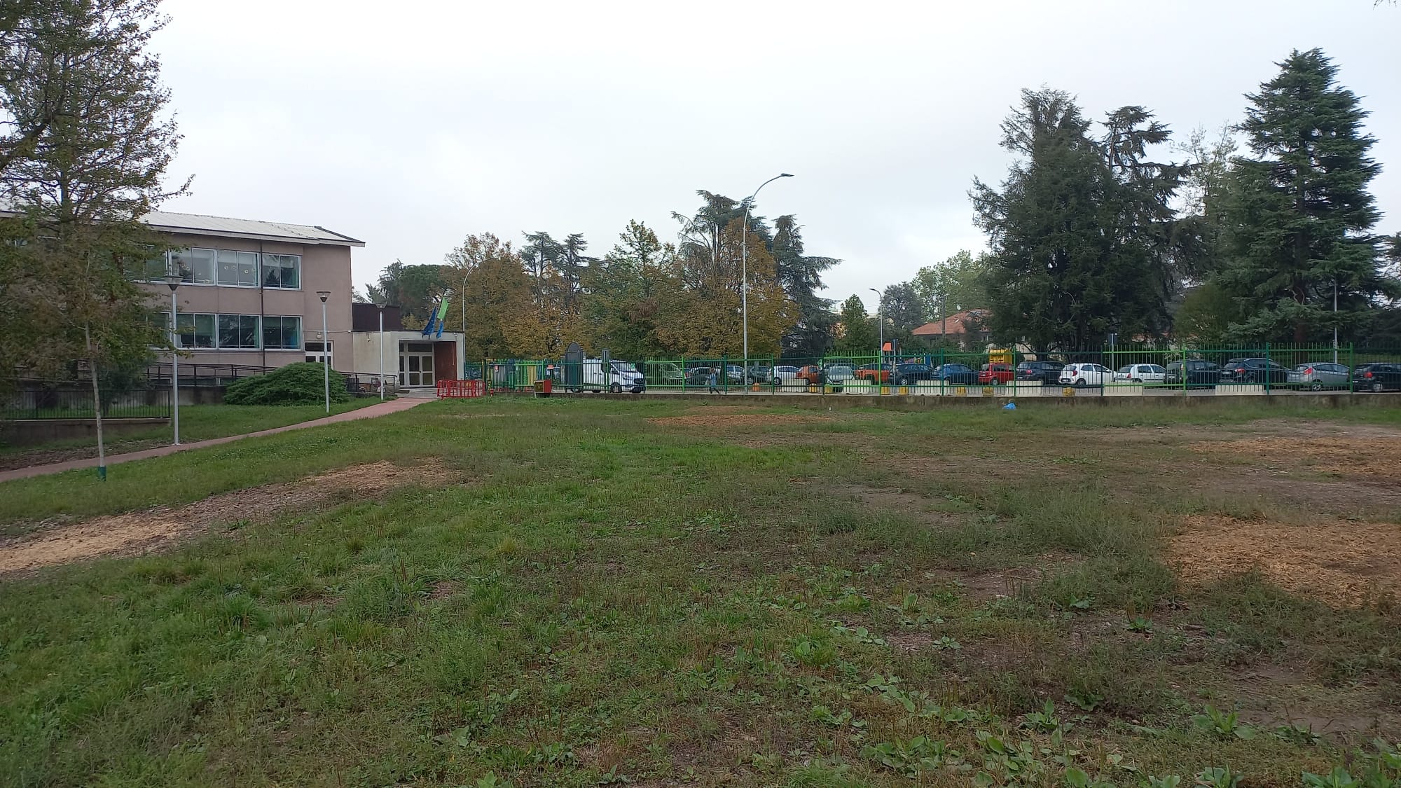 Rimozione ceppaie Scuola Primaria